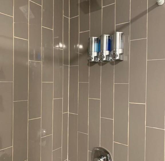 Busch Gardens Bliss Suite  1