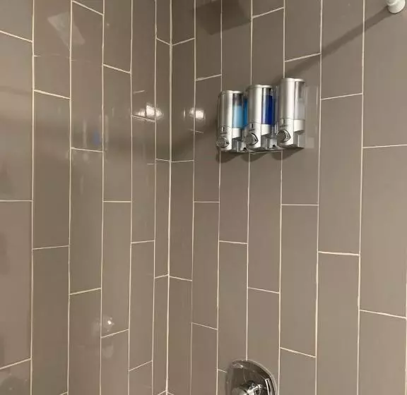 Busch Gardens Bliss Suite  1