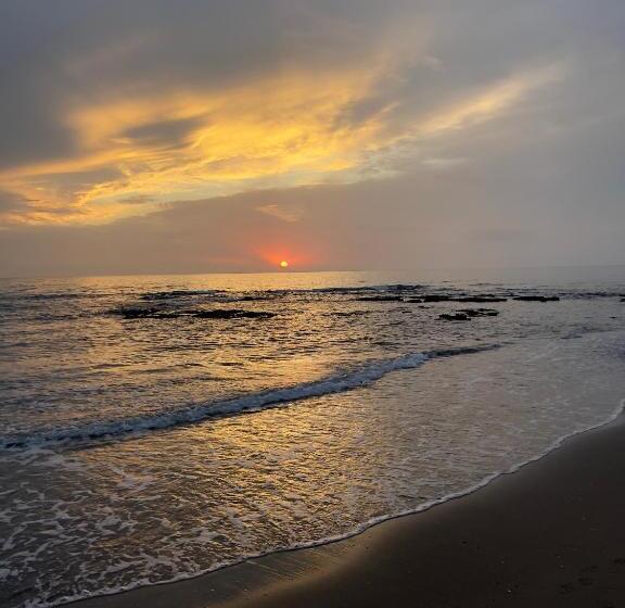 Domus Lavinia   Levante     Anzio