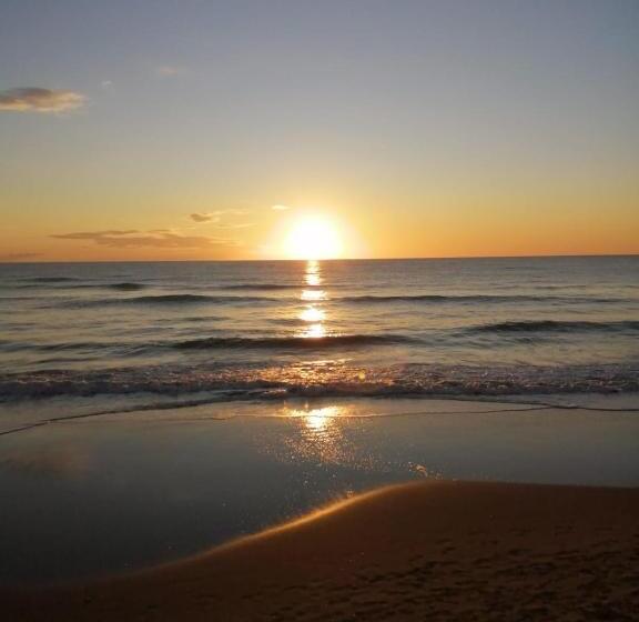 Domus Lavinia   Levante     Anzio