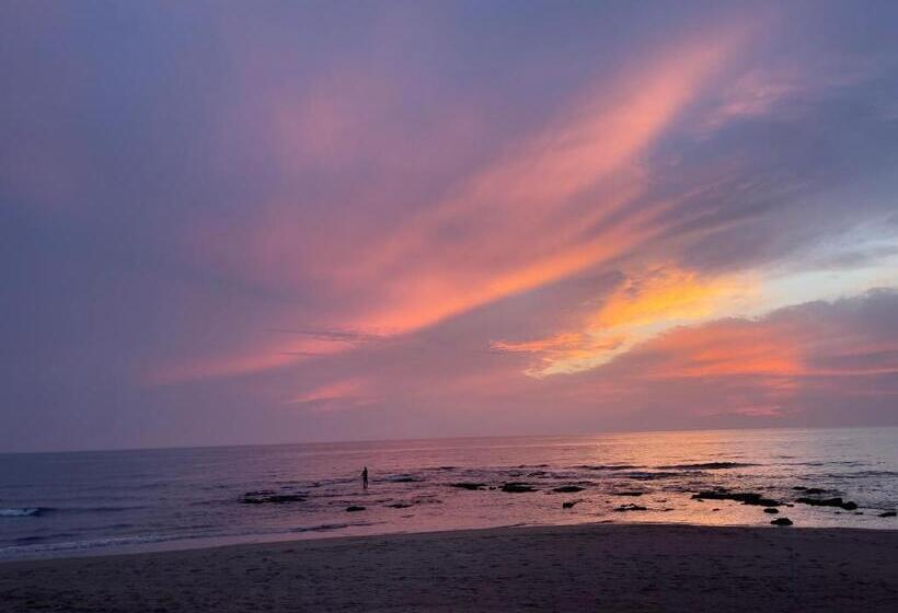 Domus Lavinia   Levante     Anzio