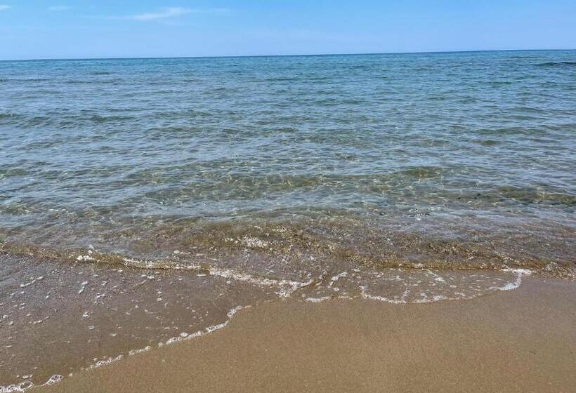 Domus Lavinia   Levante     Anzio