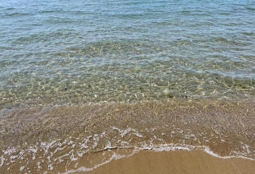 Domus Lavinia   Levante     Anzio