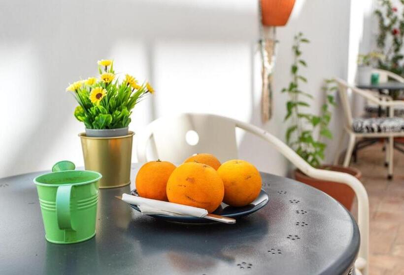 پانسیون Downtown Alegria