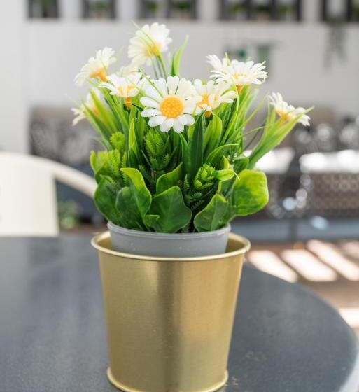 پانسیون Downtown Alegria