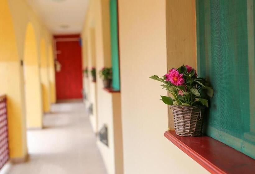 펜션 Fűzfa Vendégház