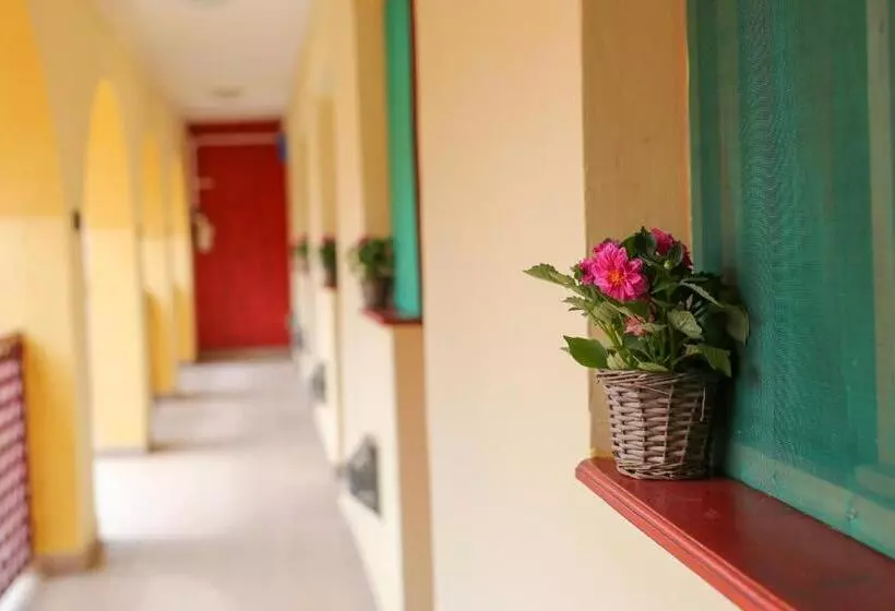 Majatalo Fűzfa Vendégház