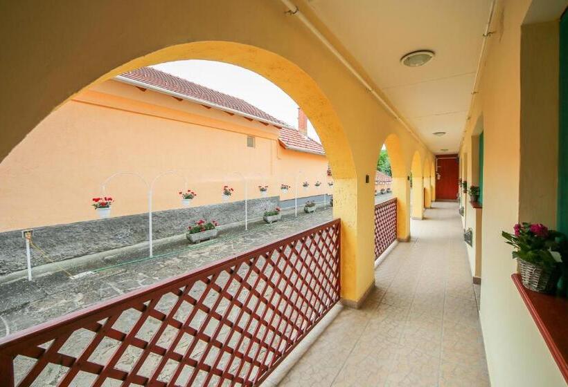 펜션 Fűzfa Vendégház