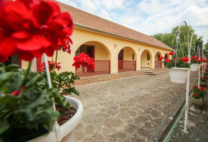 펜션 Fűzfa Vendégház