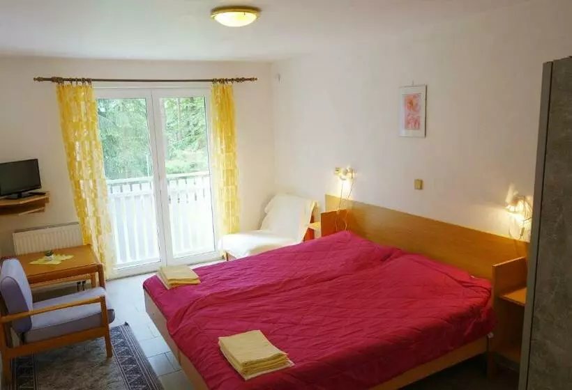 ペンション Penzion Jája Lipno Nad Vltavou