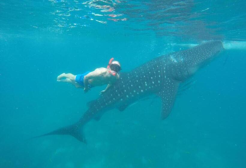 پانسیون Roos Guesthouse