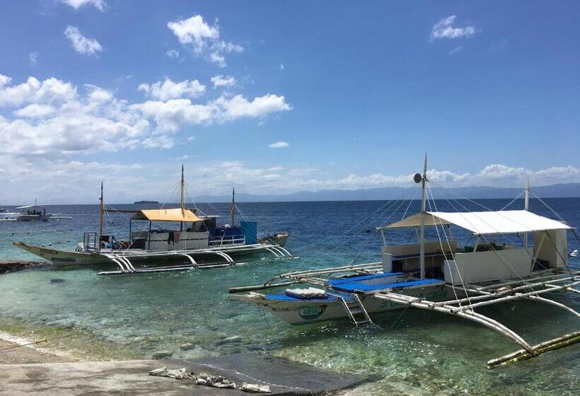 پانسیون Roos Guesthouse