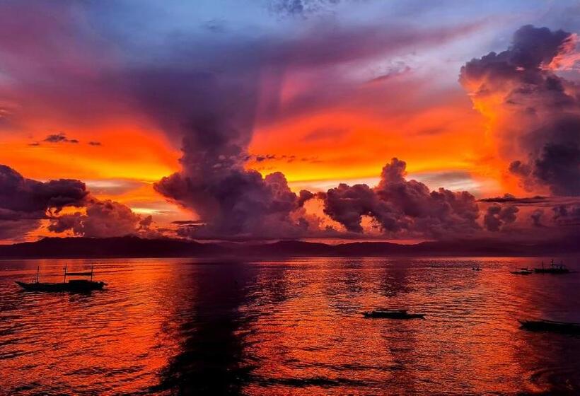 پانسیون Roos Guesthouse