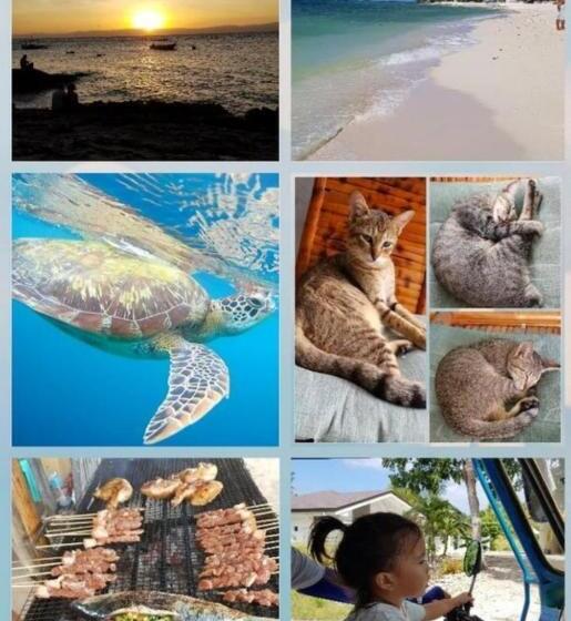 پانسیون Roos Guesthouse