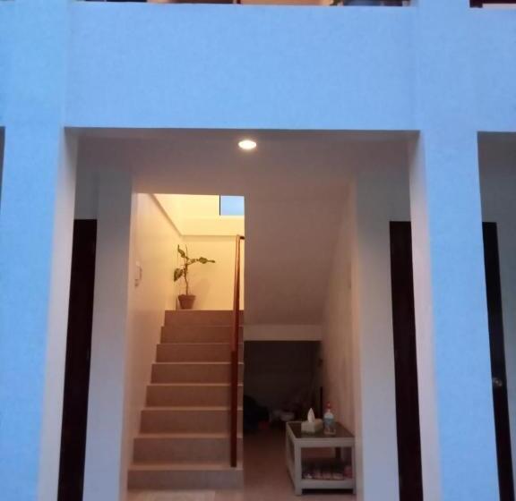 پانسیون Roos Guesthouse