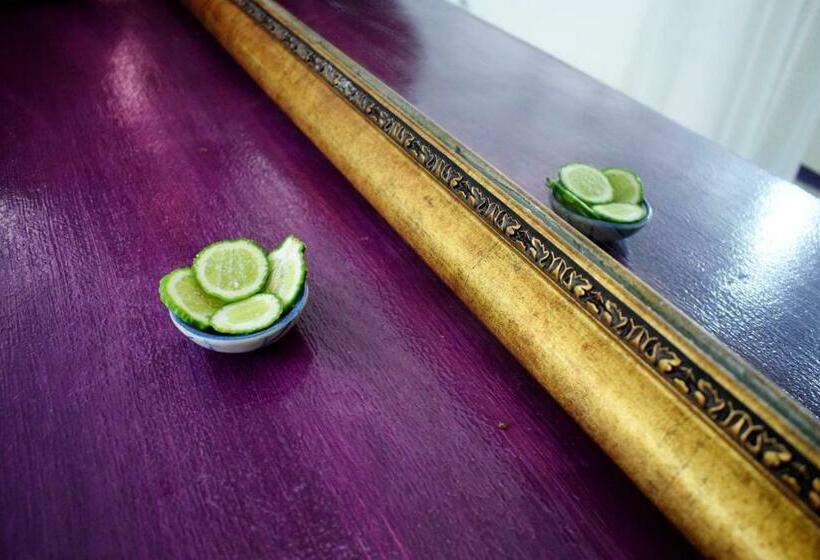 פנסיון Villa Scĕnns