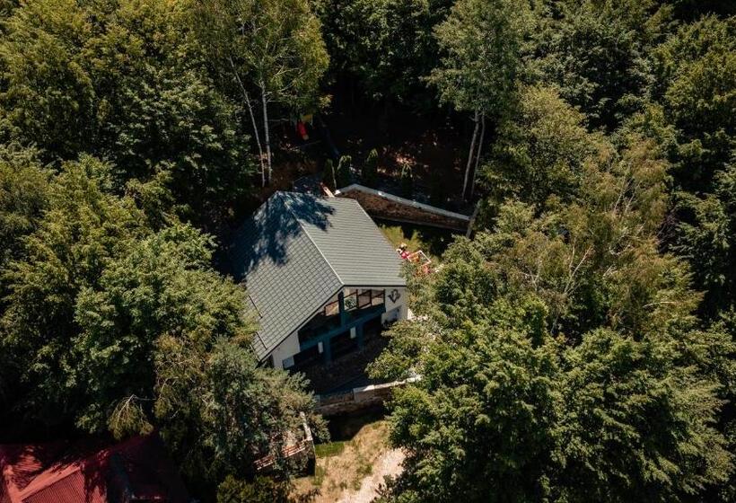 Vila Blanc Valiug Crivaia