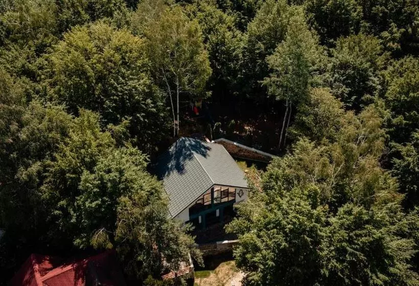 Vila Blanc Valiug Crivaia