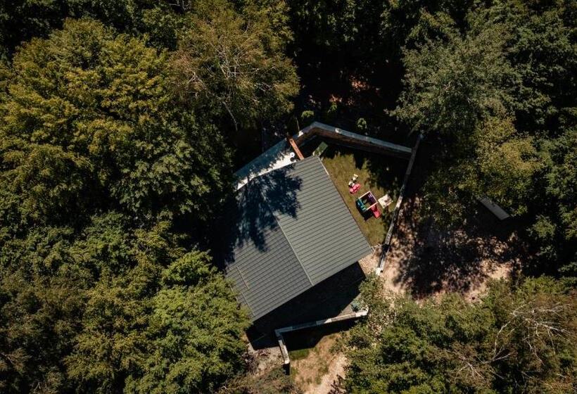 Vila Blanc Valiug Crivaia