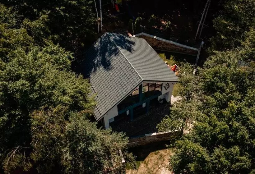 Vila Blanc Valiug Crivaia