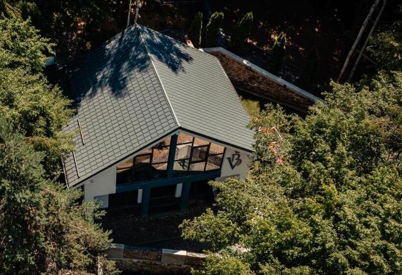 Vila Blanc Valiug Crivaia