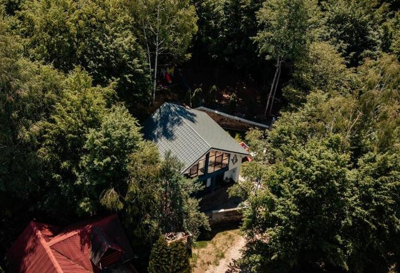 Vila Blanc Valiug Crivaia