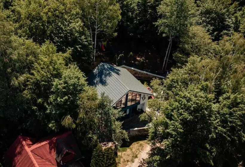 Vila Blanc Valiug Crivaia