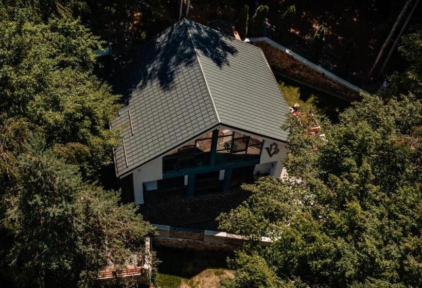 Vila Blanc Valiug Crivaia