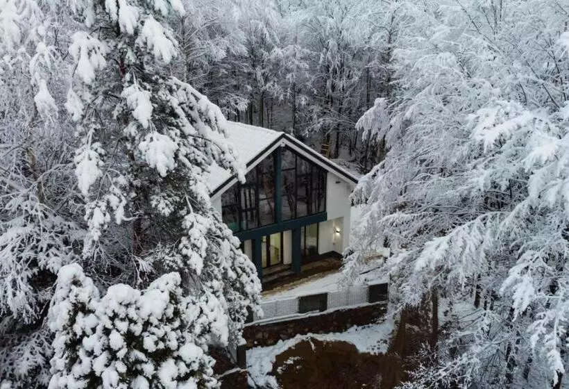 Vila Blanc Valiug Crivaia