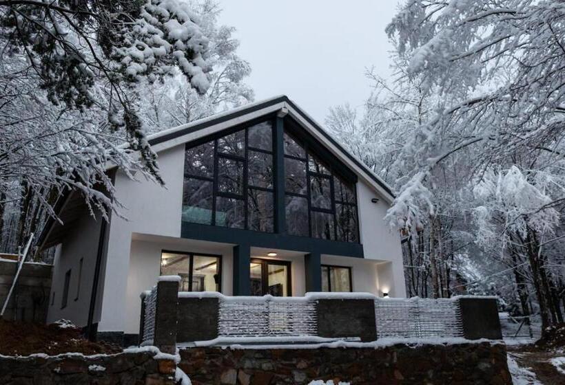 Vila Blanc Valiug Crivaia