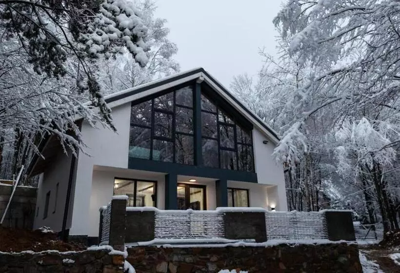 Vila Blanc Valiug Crivaia