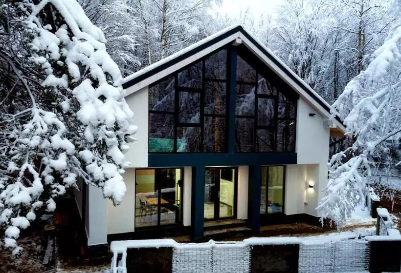 Vila Blanc Valiug Crivaia