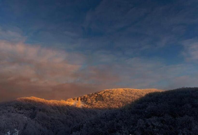 Vila Blanc Valiug Crivaia