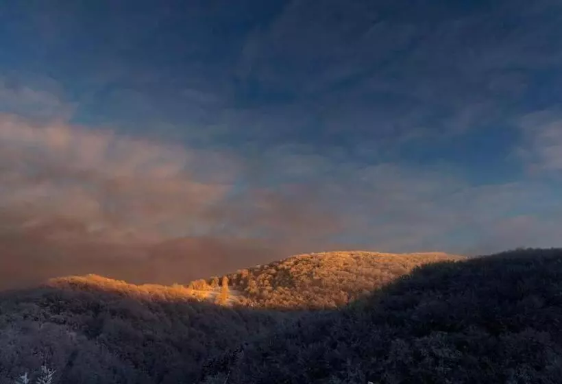 Vila Blanc Valiug Crivaia