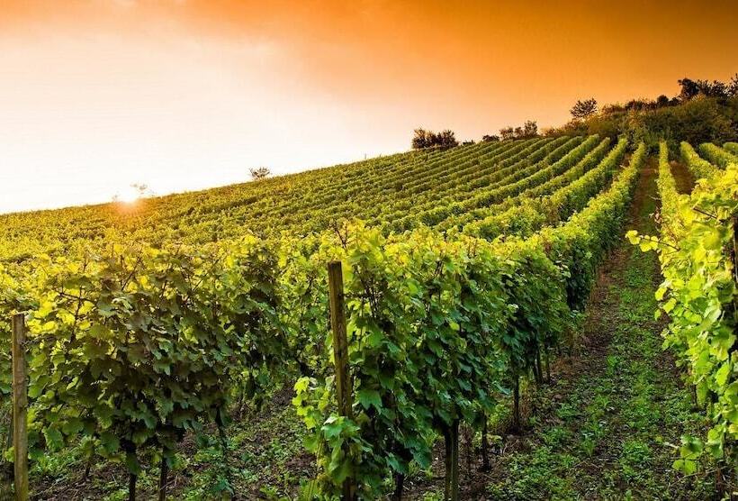 酒店 Balneario De Gravalos