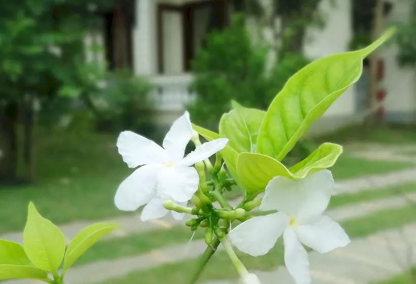 هتل Hoi An Memority Villas & Spa