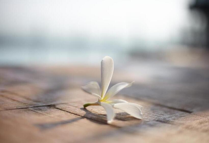 בית מלון כפרי Hablis