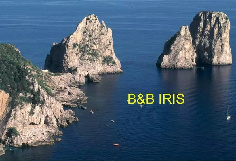 B&b Iris