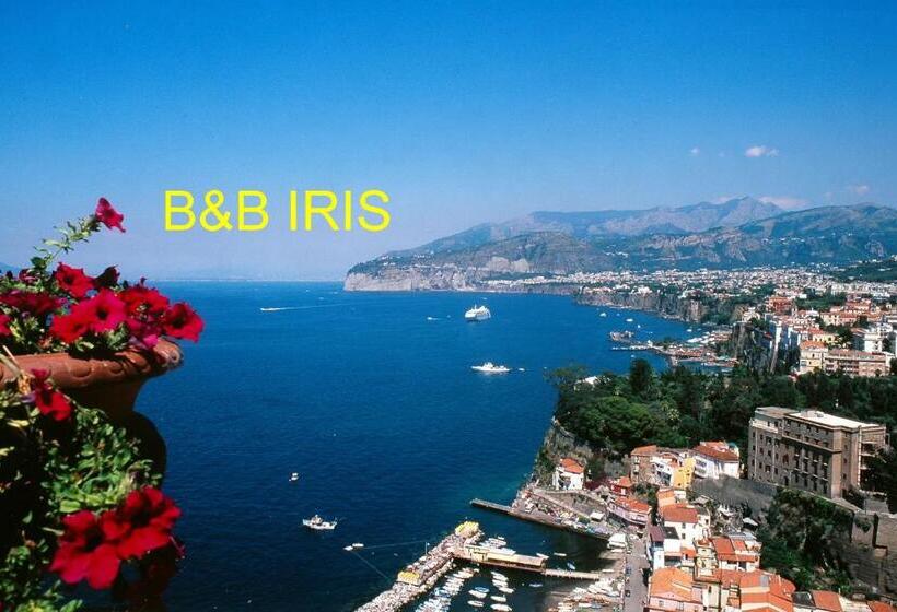 B&b Iris