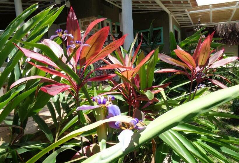 تختخواب و صبحانه Casa Das Arvores