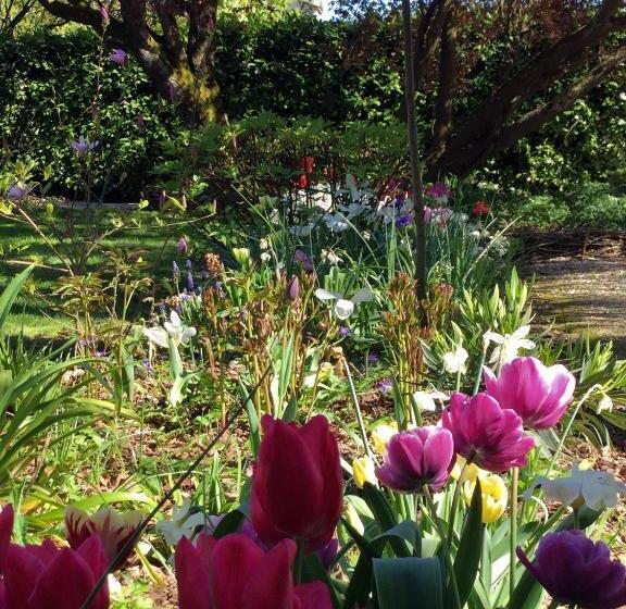 تختخواب و صبحانه Le Grand Arbre