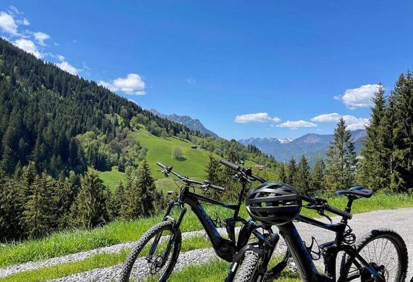 Ferienwohnung Alpennestchen Tschagguns