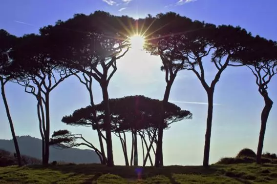 ホテル Agriturismo Val Di Sterza