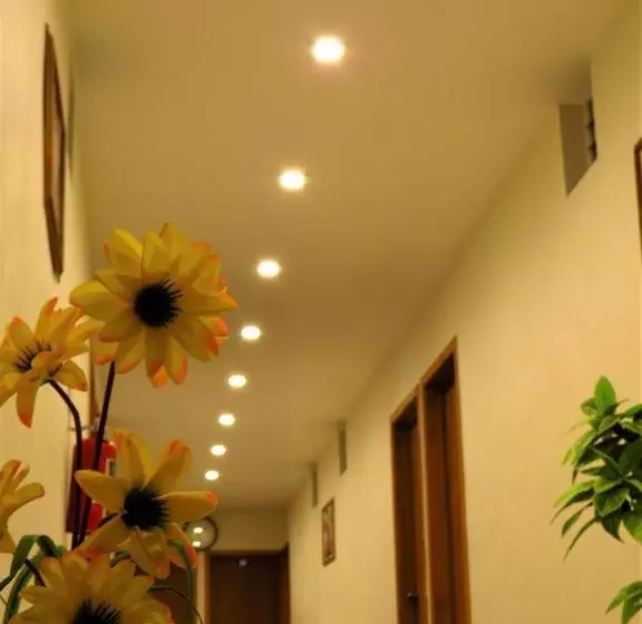 ホテル Purisima Concepción