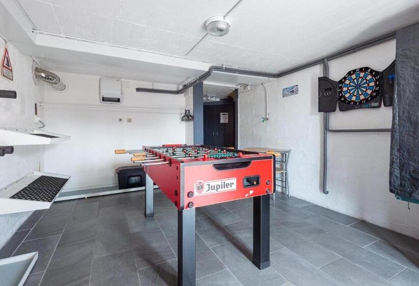 Le Repère Des Marmottes