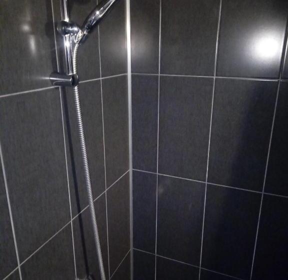 بنسيون самостоятелни студия