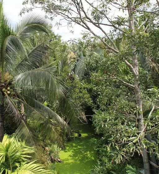 ペンション Baan Glangsuan Bang Kobua