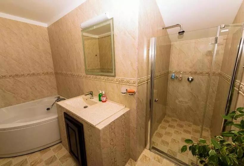 ペンション Casa Andrei
