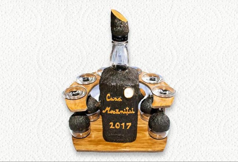 پانسیون Casa Mocanitei