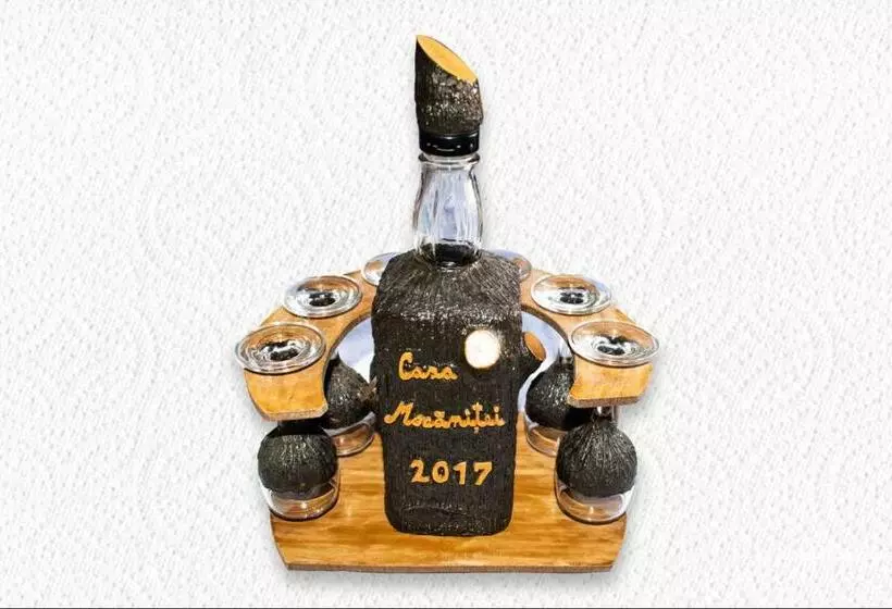 ペンション Casa Mocanitei